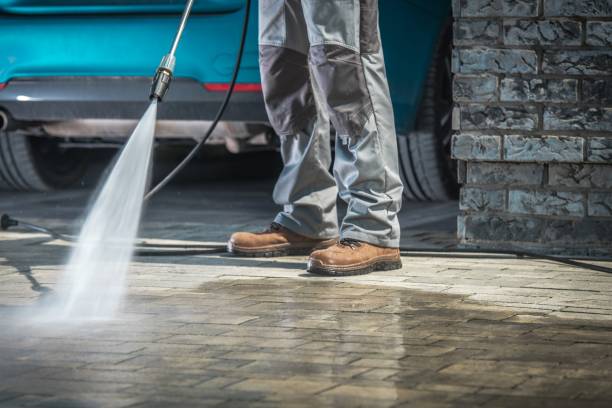 Best Vinyl Siding Pressure Washing in Wild Peach Village, TX