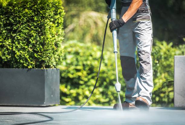 Best Window and Screen Pressure Cleaning in Wild Peach Village, TX