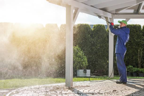 Best Brick and Stone Cleaning in Wild Peach Village, TX