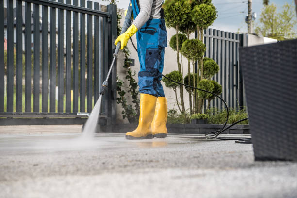 Professional Pressure Washing Services in Wild Peach Village, TX